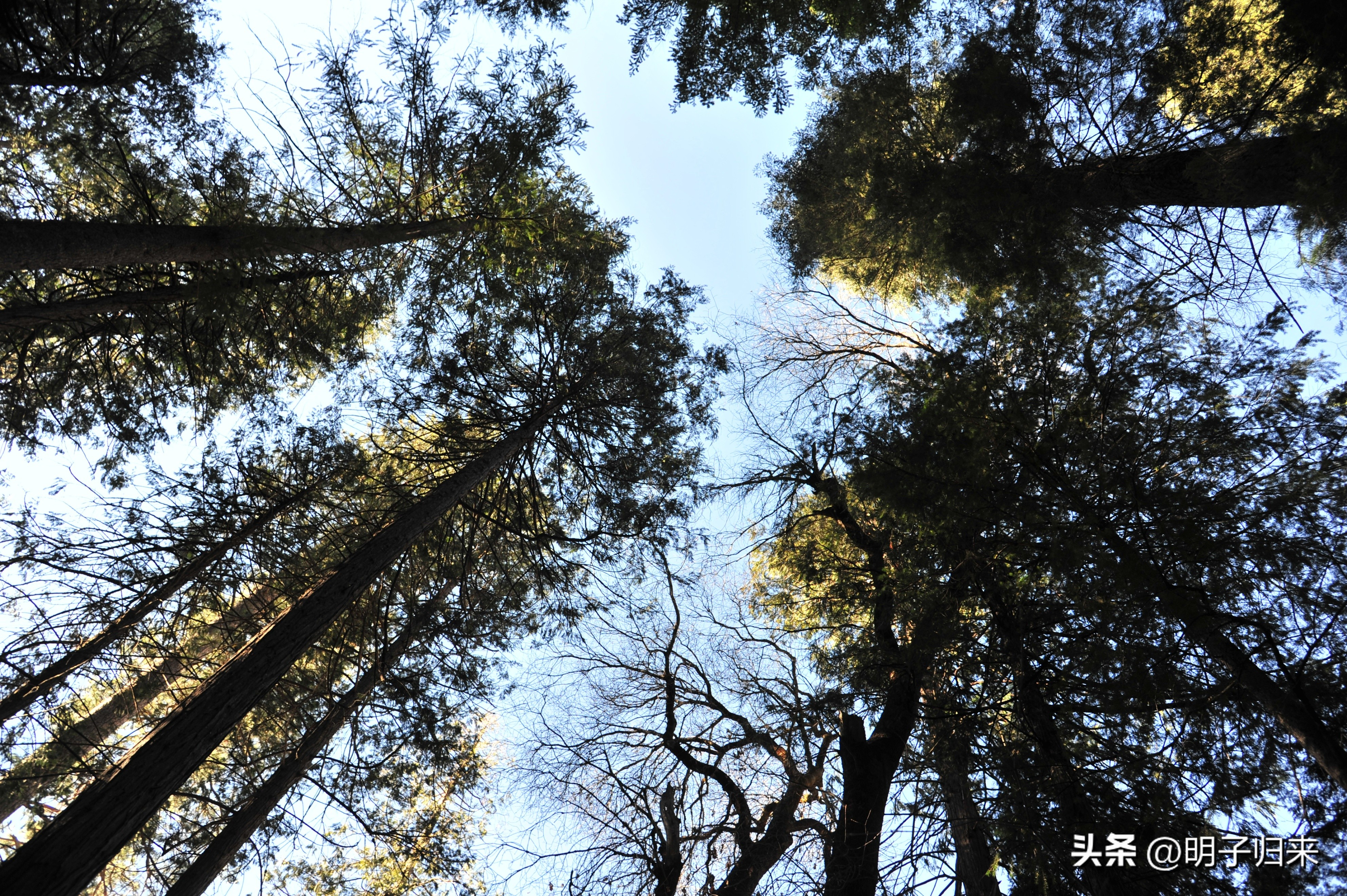 加州两千里：攀岩者的“征服之梦”