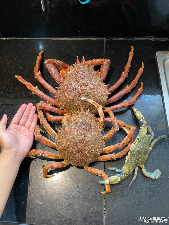 摩洛哥号称非洲最豪华的商场，也仅仅能与中国县城商场相比