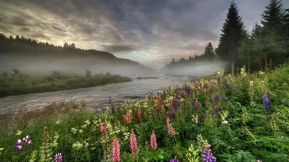 【期末复习】那一刻，我长大了（五年级下第一单元作文范文29篇）