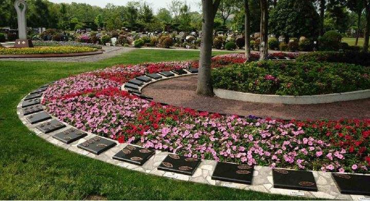 墓地76万,70万一平的墓地