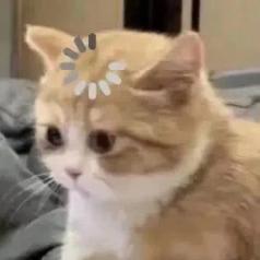 测试你的咖啡上瘾吗,每天喝咖啡会上瘾后果是什么