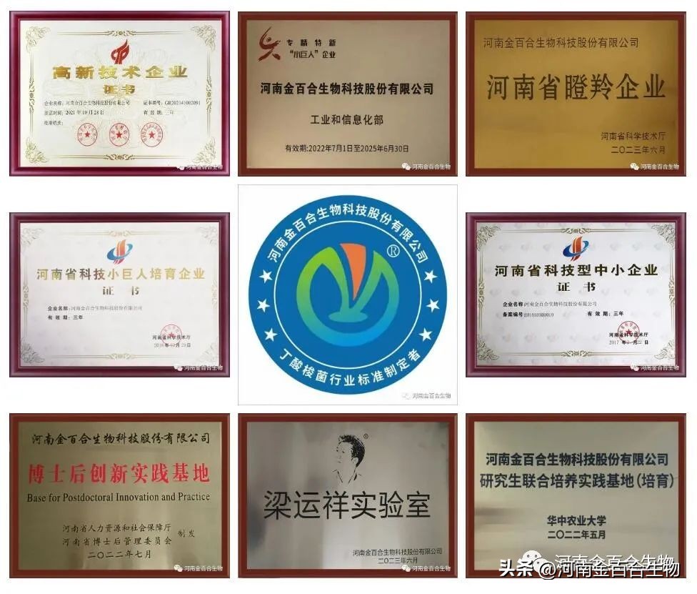 河南金百合丁酸梭菌液体效果如何,河南金百合药业丁酸梭菌