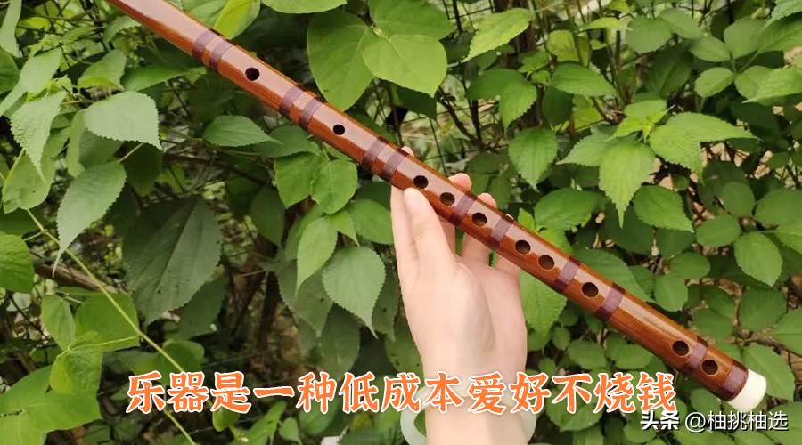 18个赚钱的副业有哪些,低成本不烧钱的爱好