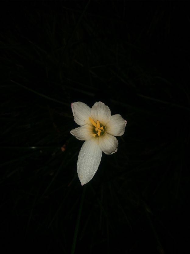 关于灾难夺走生命的感悟,经过意外灾难后的感言