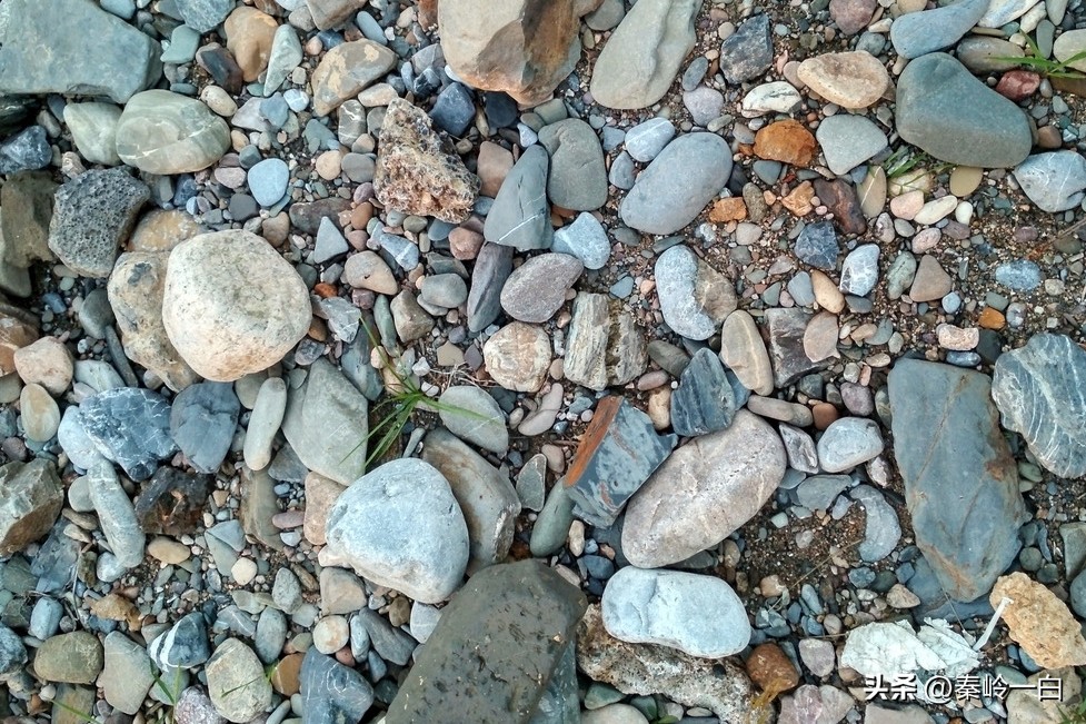 隋朝麦铁杖真实照片,隋朝麦铁杖真实身份