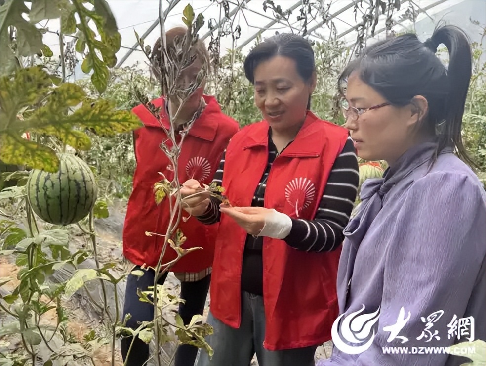 辛巴助农直播带货产品,辛巴通过直播帮助农产品打开销路