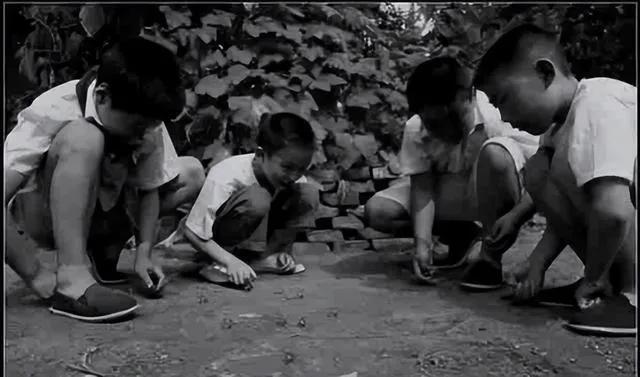 乡村乡情的记忆,3乡村小学的故事