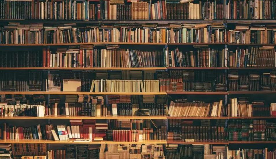 24岁的女生适合看莫言的哪本书,女儿12岁喜欢看言情小说