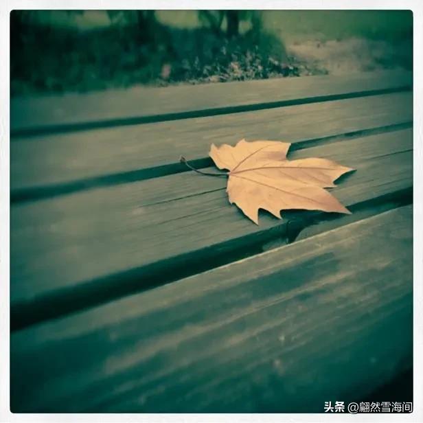 蕴含人生哲理的古诗100首,15首古诗词说尽人生真谛