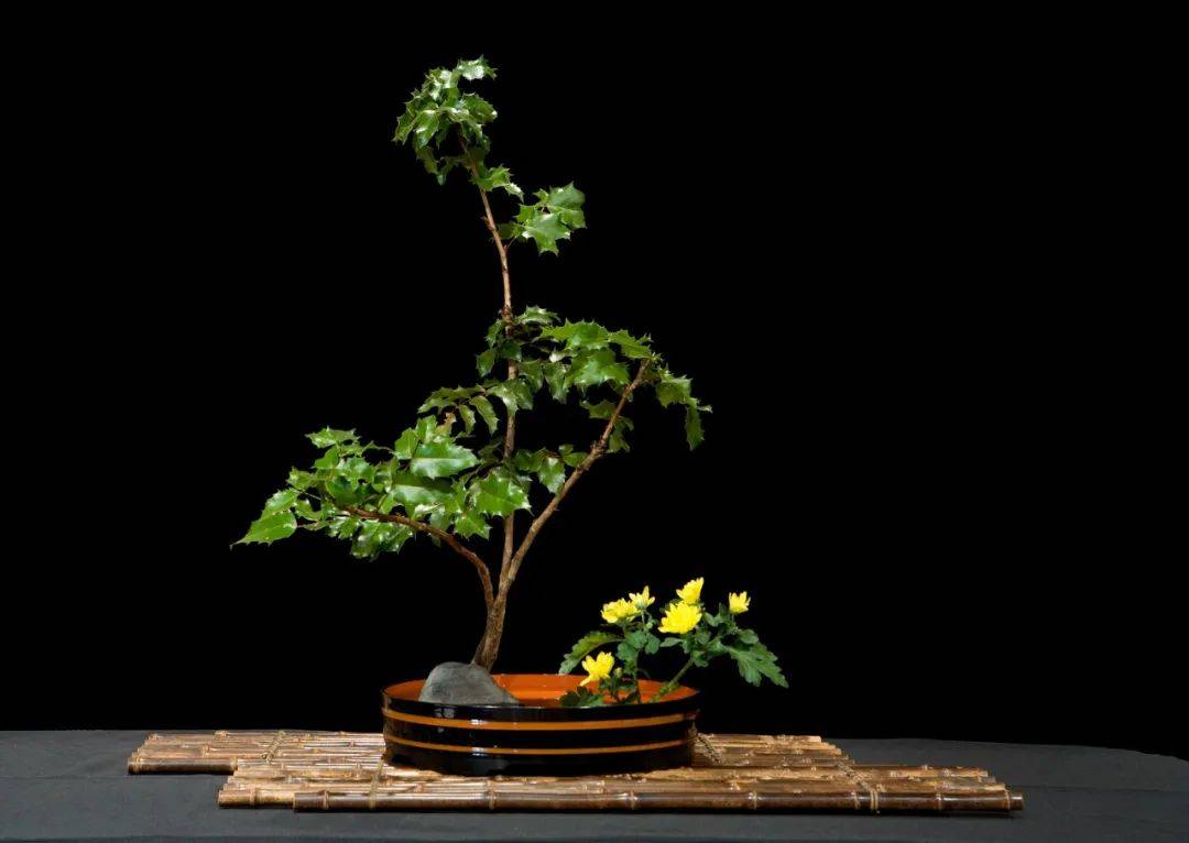 日式插花小原流花道,日式插花的13个基本技巧