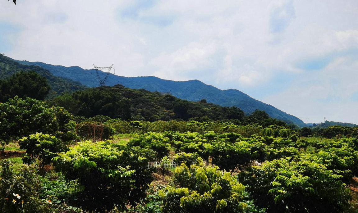 广东必去十大景点排名广州从化,从化什么地方山清水秀