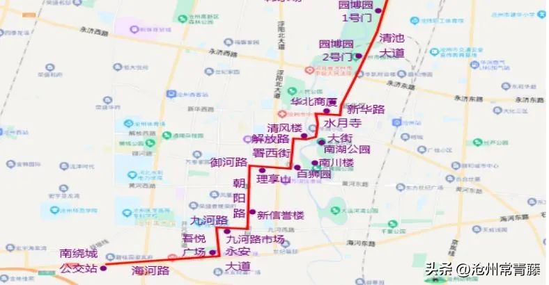 「沧州资讯」“夜享狮城”专线开通与“运河市集”开市的文化价值