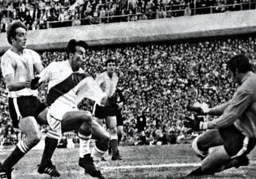 因足球而打仗的两个国家,足球引发的两国战争