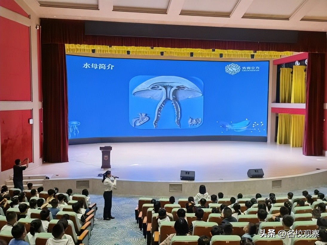 蔚蓝做苍穹，鱼儿变繁星！新川学子，走进浩海立方，探秘无限海洋