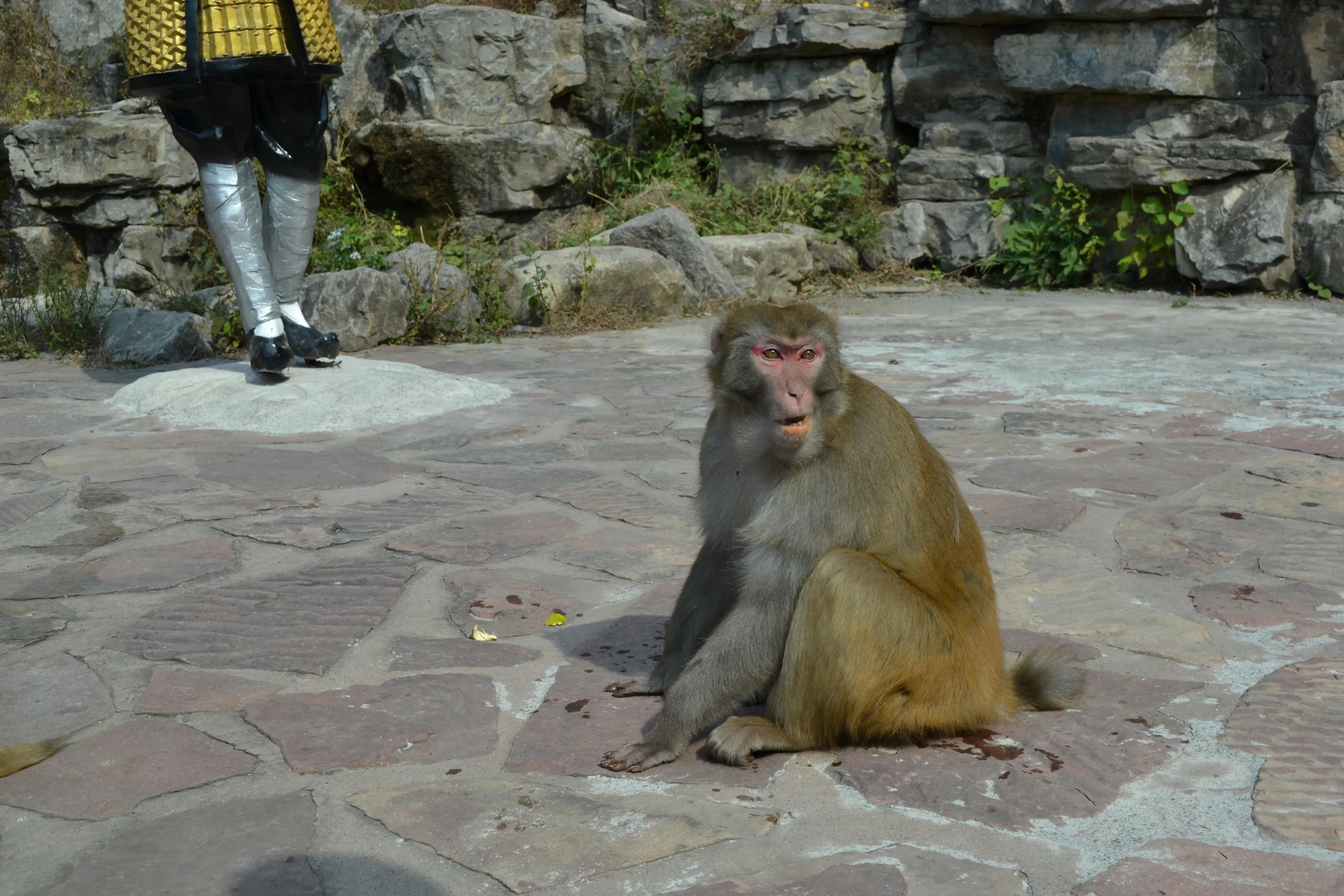 我的驴行日记——山西晋城蟒河