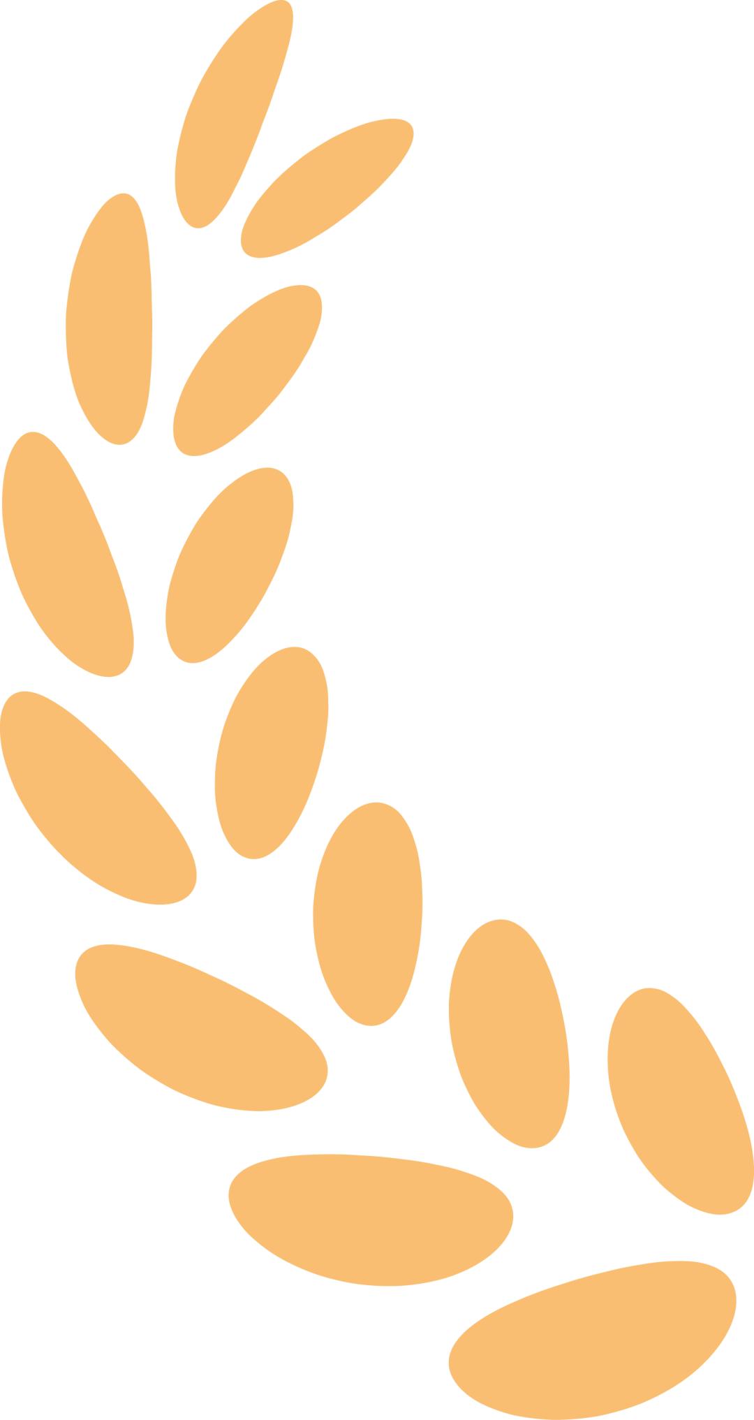 凤城六中七年四班于智钦-同心战“疫”，同“屛”共振