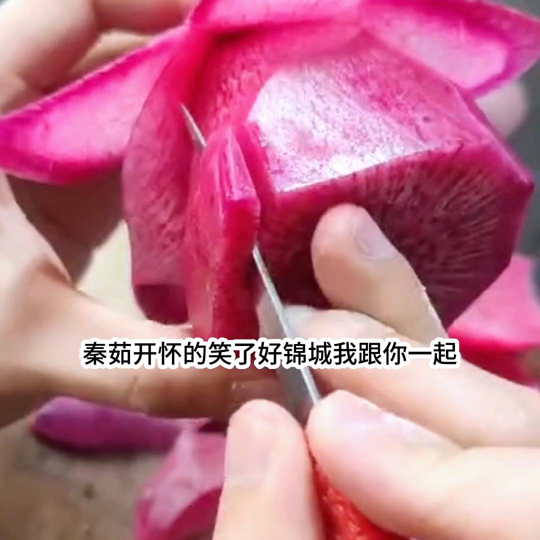 文荒推荐,文荒推文女生必看