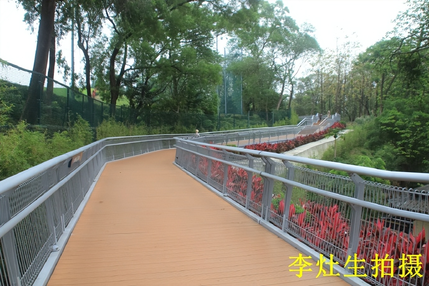 广州空中走廊哪些入口,广州空中漫步走廊