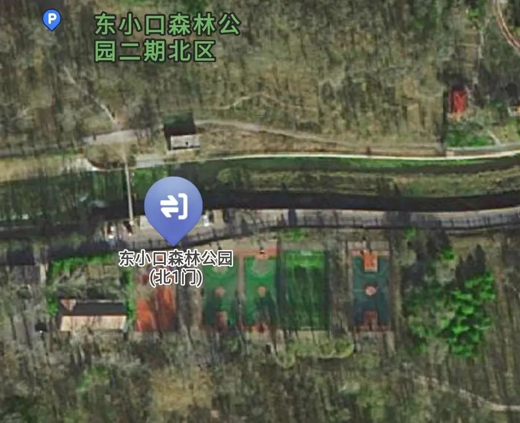 公园绿地改造篮球馆,东小口森林公园足球场免费吗