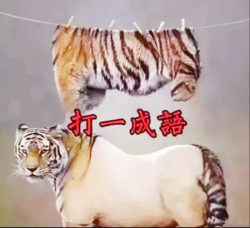 室友新买的蚊帐怎么感觉怪怪的,为什么刚买的蚊帐总感觉哪里不对