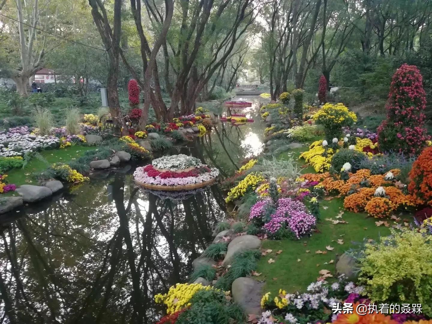 静安普陀虹口和杨浦,上海普陀区旅游线路