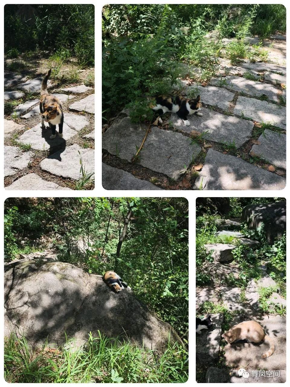 白虎涧为什么被称为北京的后花园,北京名胜白虎涧