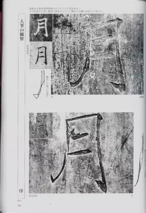 宸ョ瑪鐢绘潹鏅箟鐢诲唽,鏉滈箖鏉ㄦ櫘涔夊畬鏁寸増