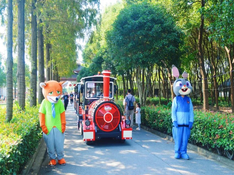 江苏大型儿童成长节目剪刀石头布,小鸭嘎嘎儿歌石头剪刀布早教0-3岁