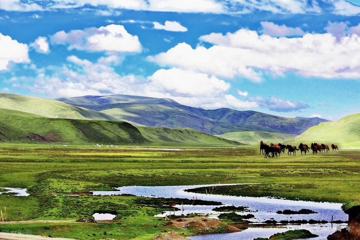 青海游玩必打卡,青海省必打卡景点