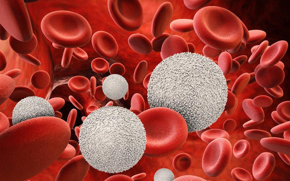 胆红素轻微升高就是丙肝吗,体检发现胆红素偏高是肝受损了