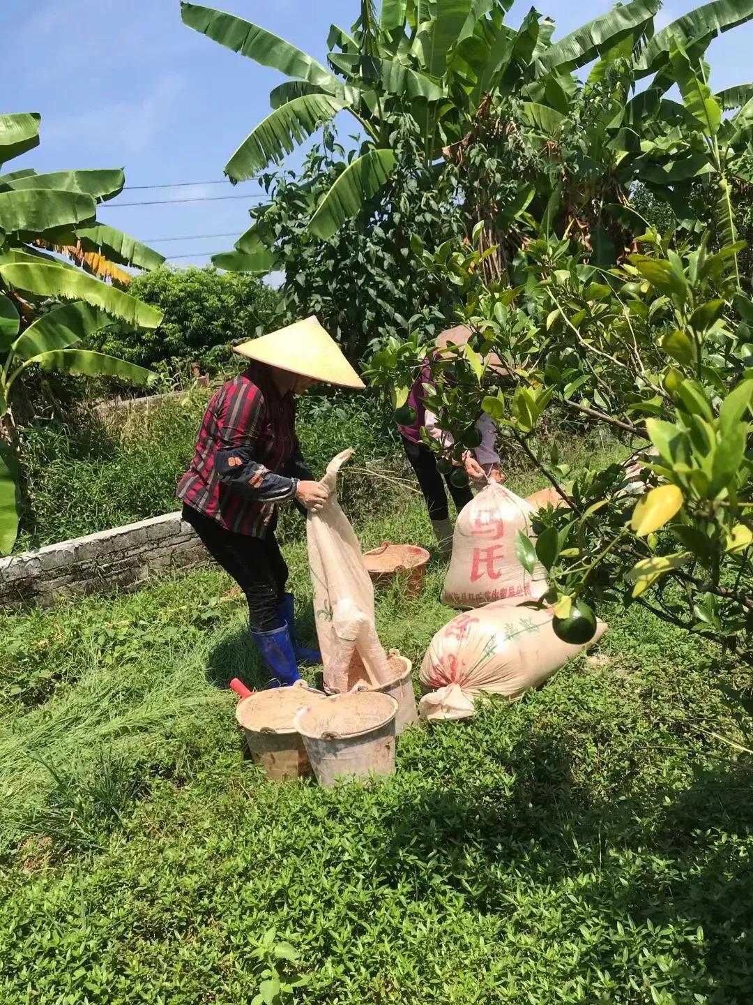 专家：农业就是暴利行业！大爷听后立马给专家上了一课