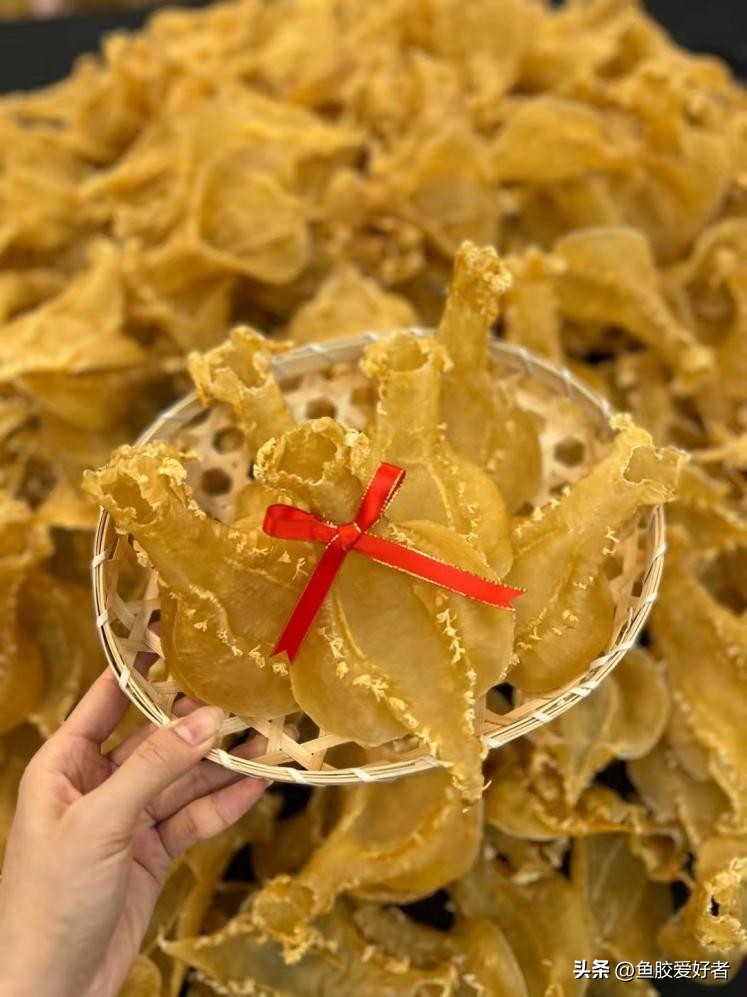 干鱼胶怎么保存不会长虫子,鱼胶小白入门