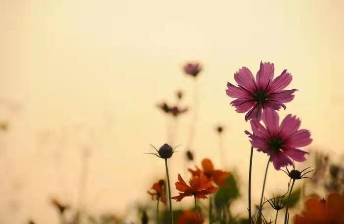 倒霉之前都有一种表现,倒霉的三个表现