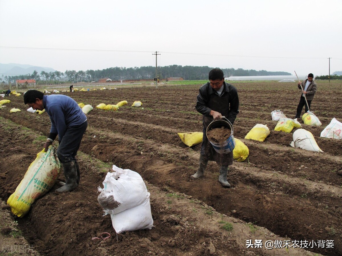 哪些肥料混用后容易“起冲突”,哪些肥料混用后能做“好朋友”?
