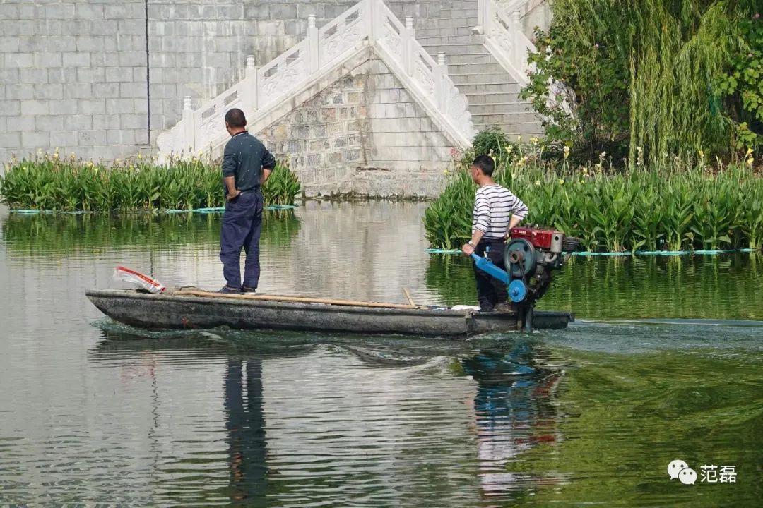 新手单反相机购买怎么不被坑,新手小白单反相机避坑