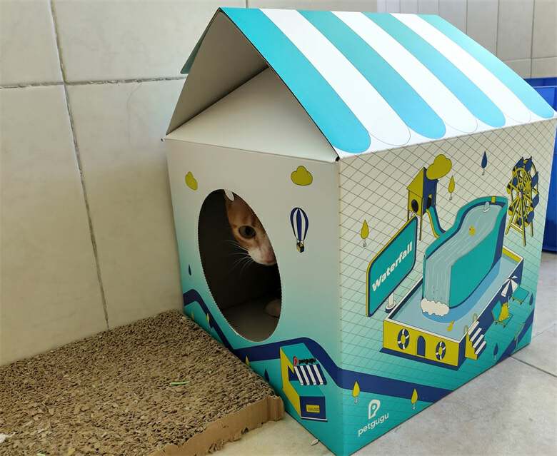 猫咪自动喂水喂食一体器智能测评,宠物猫咪智能喂水器