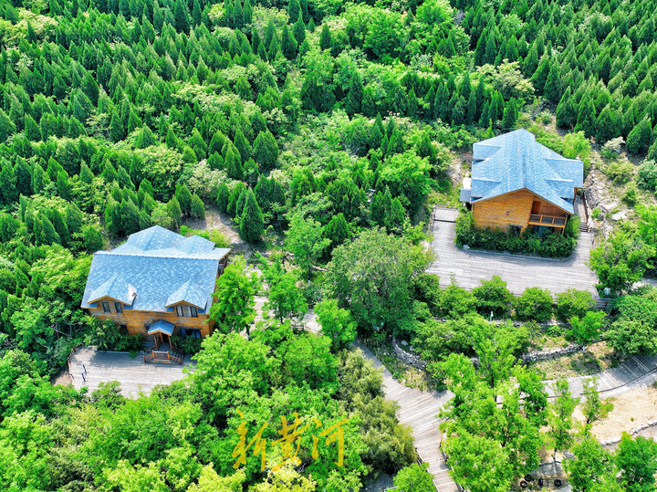 济南网红打卡地樱花大道火车,济南24小时打卡网红圣地