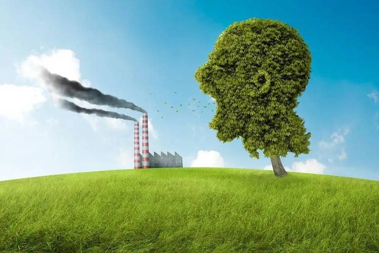 鍙戞尌浠茶鍔熻兘渚濇硶鍖栬В绾犵悍,鍙戞尌涓撹亴璋冭В浼樺娍