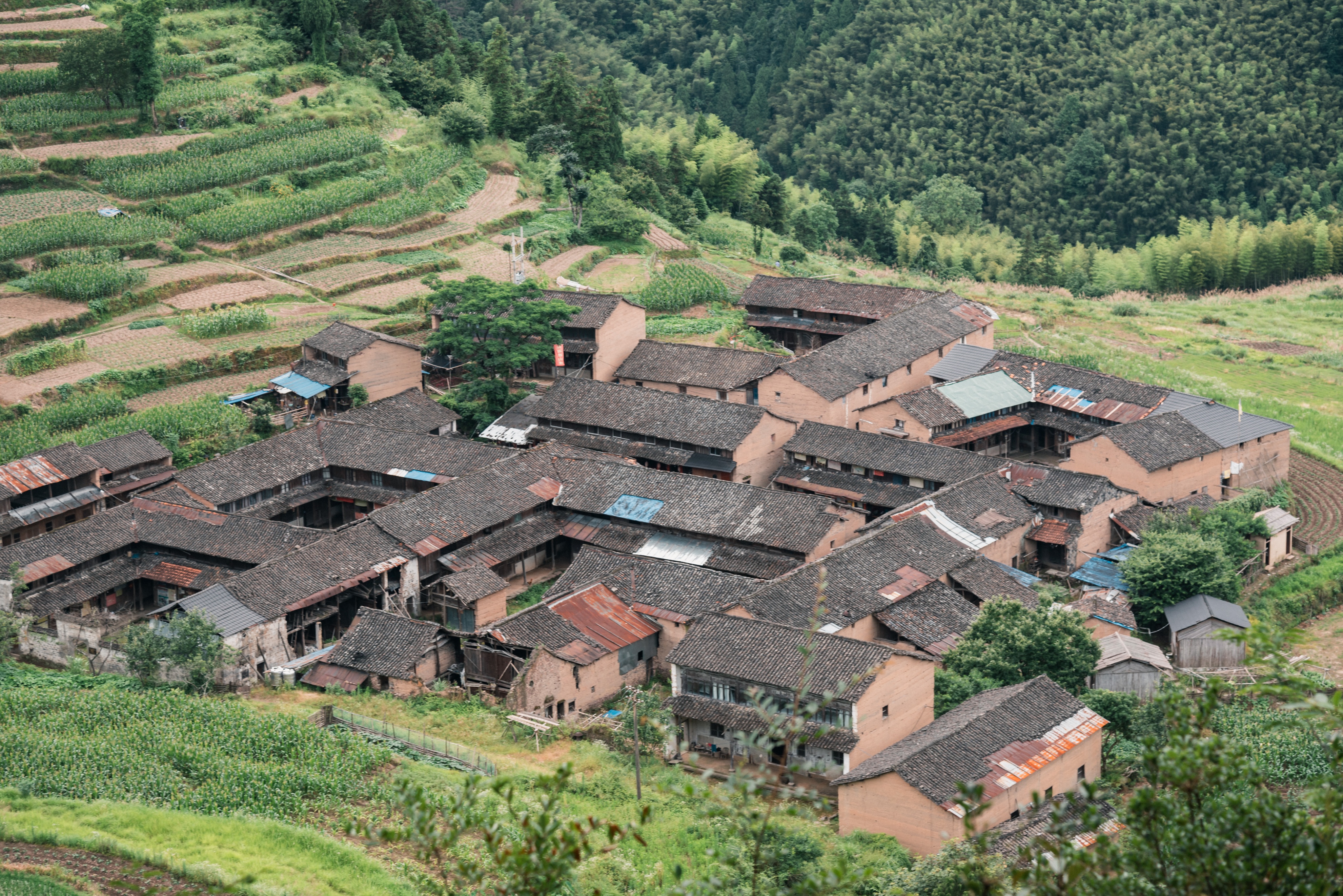 仙居杨梅仙人居住的地方,浙江仙居果然是神仙居住的地方