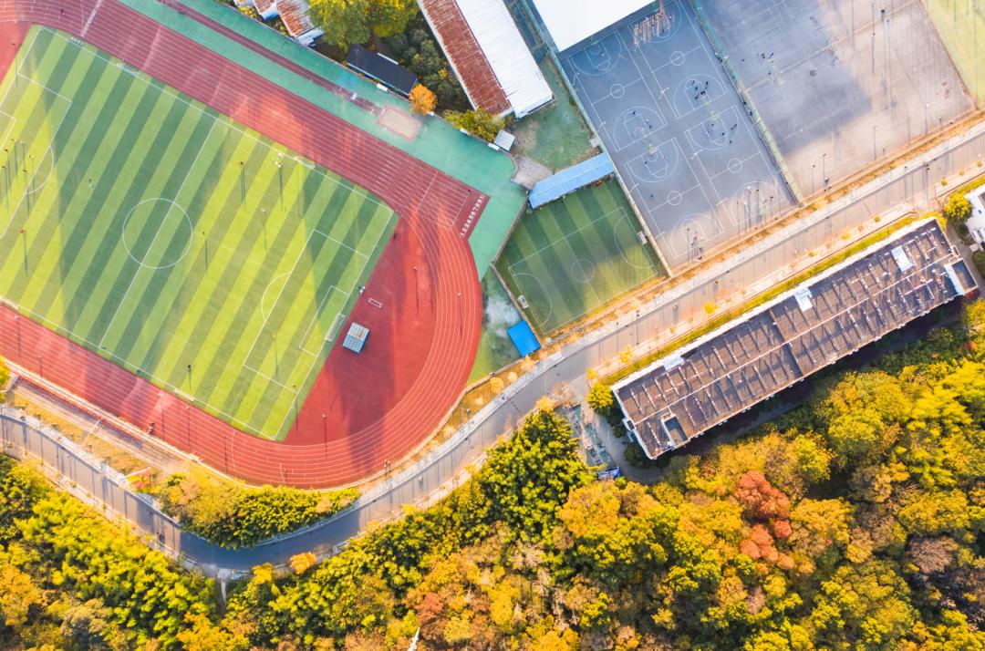 一次选择，一生无悔！南京林业大学给你10大报考理由，个个让人心动