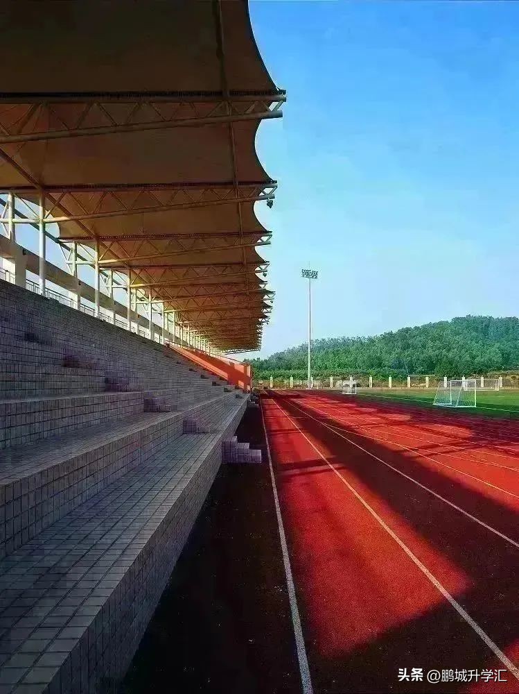 2024年深圳高中校园开放日,深圳市校园开放日