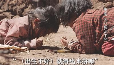 王宝强深度解析,王宝强成功的奥秘