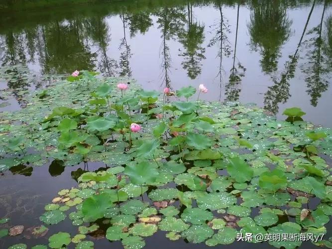 遂宁风景太美了,遂宁真的很美