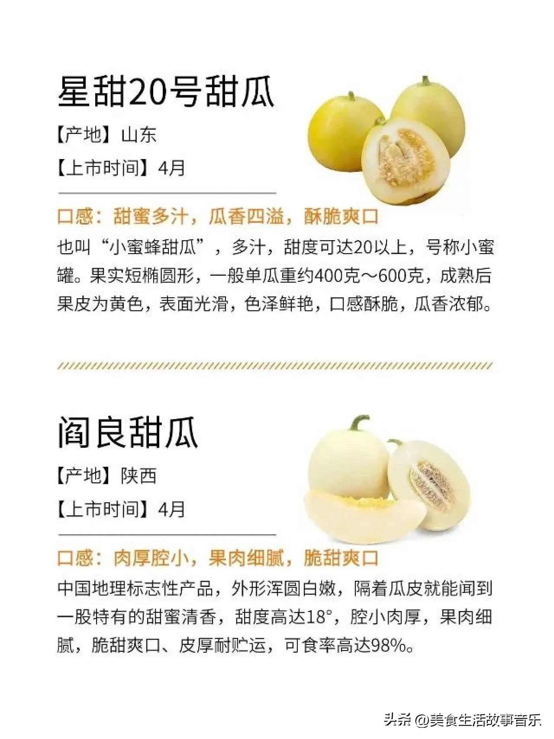甜瓜熟度最好的品种,甜瓜品种科普图解