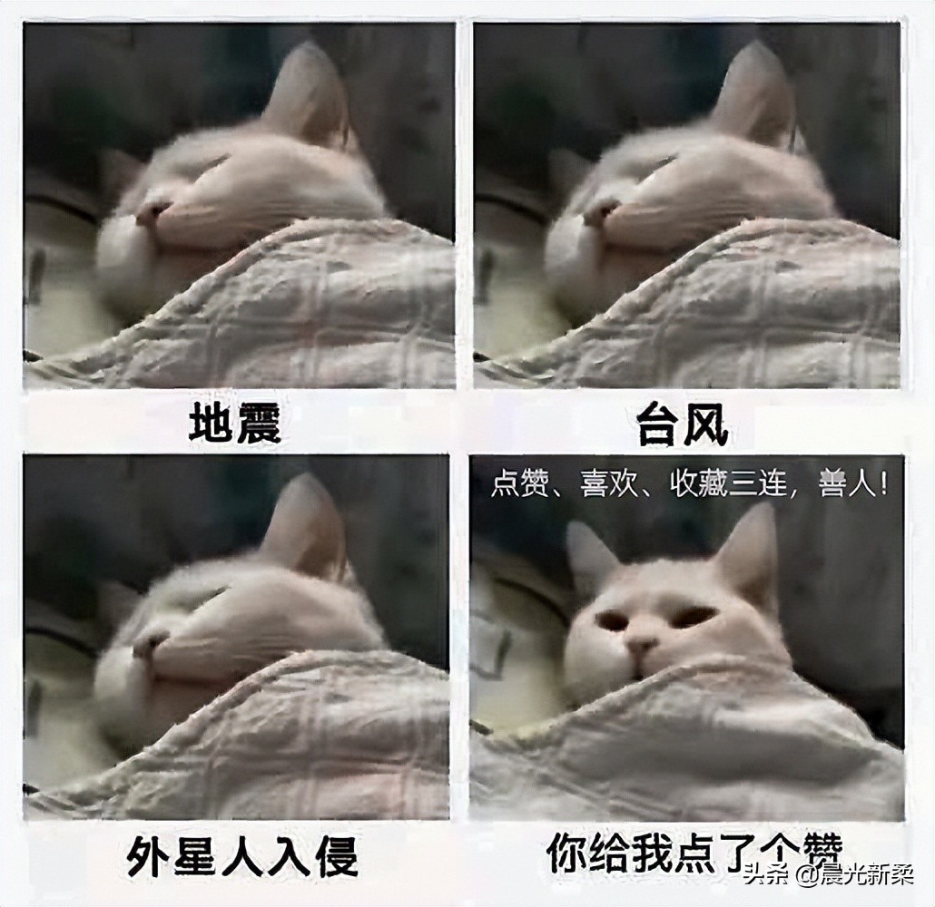 i5-12400搭配1660Ti8000块上不上当？