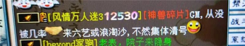 大话西游2十级奇异石鉴定,大话西游2最极品守护石
