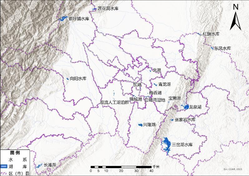 浮游植物增加会水质富营养化吗,浮游植物对水体起哪些作用