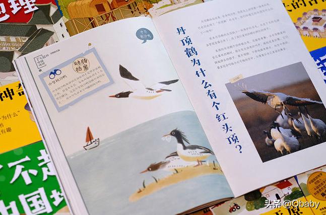 过年送孩子年货礼盒,过年送孩子的书