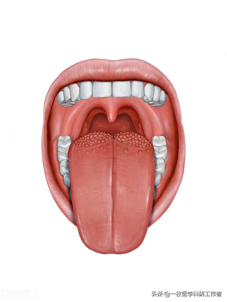 嘴巴老是口干看什么科,嘴巴发干暗示了五种疾病