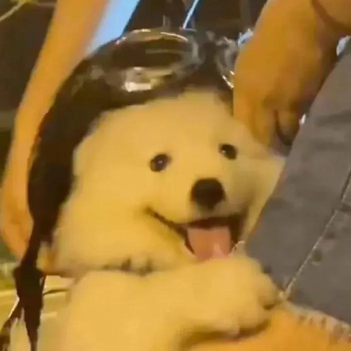 让人忍不住评论的文案搞笑,让人忍不住评论的文案短句